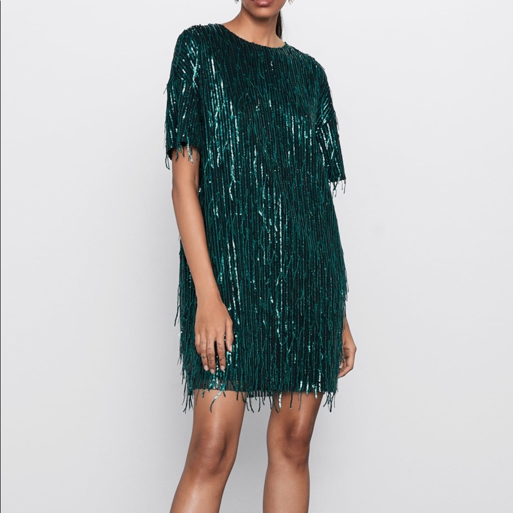 BNWT Zara dress